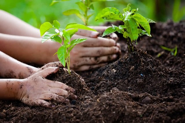 World Environment Day